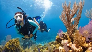 PADI Open Water Diver Opleiding – Leer Duiken en Ontdek de Onderwaterwereld